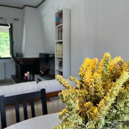 Salty Breeze #hosted By Doormat 別荘